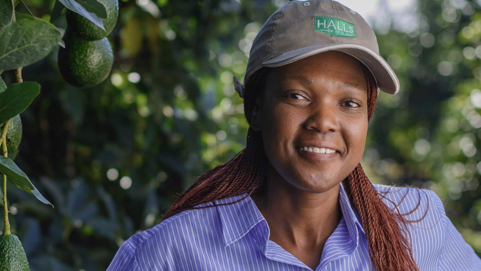 An orchard worker in a Halls cap smiling among avocado trees