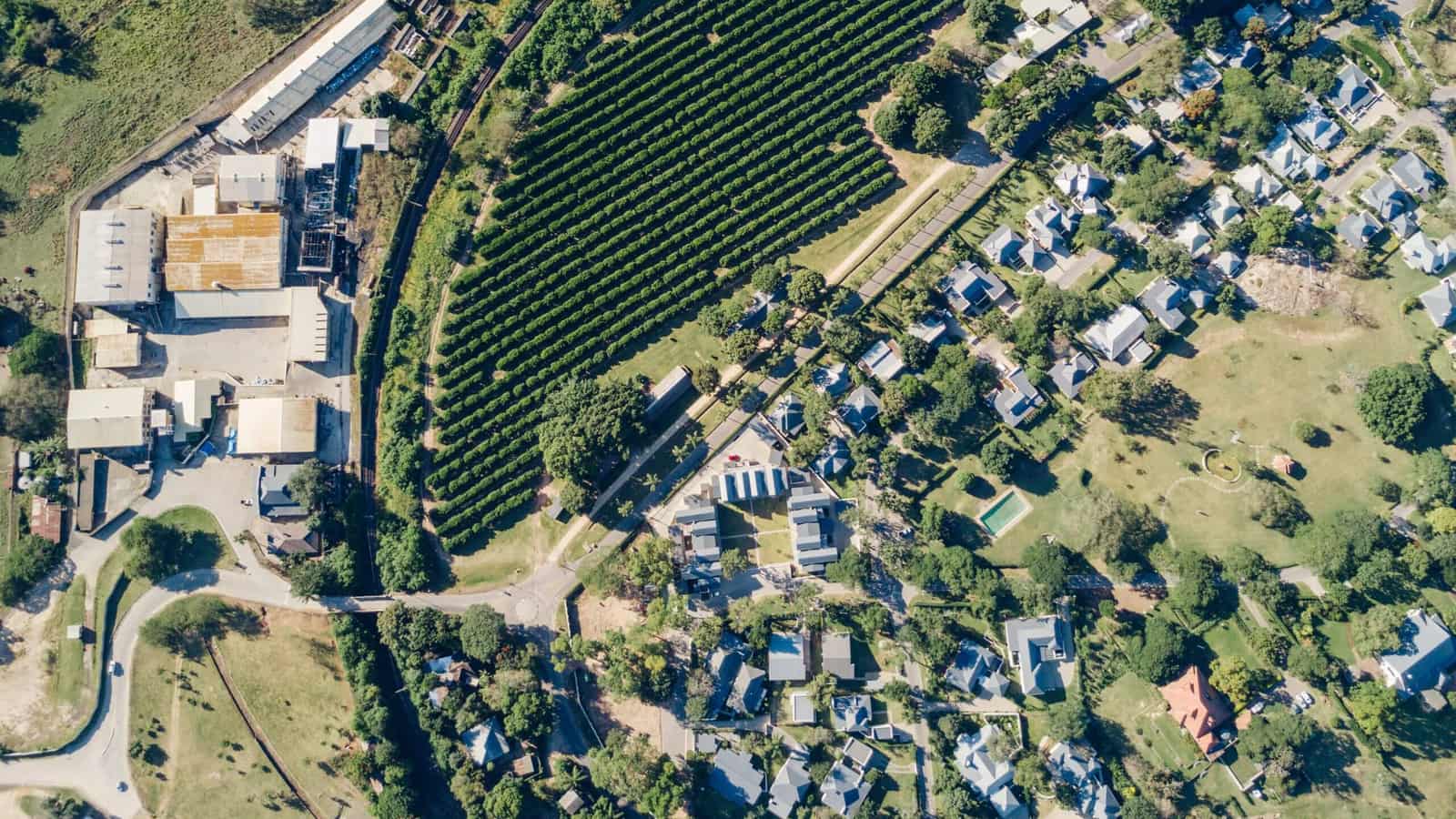 Aerial view of the Mataffin farm, buildings ringed by orchards