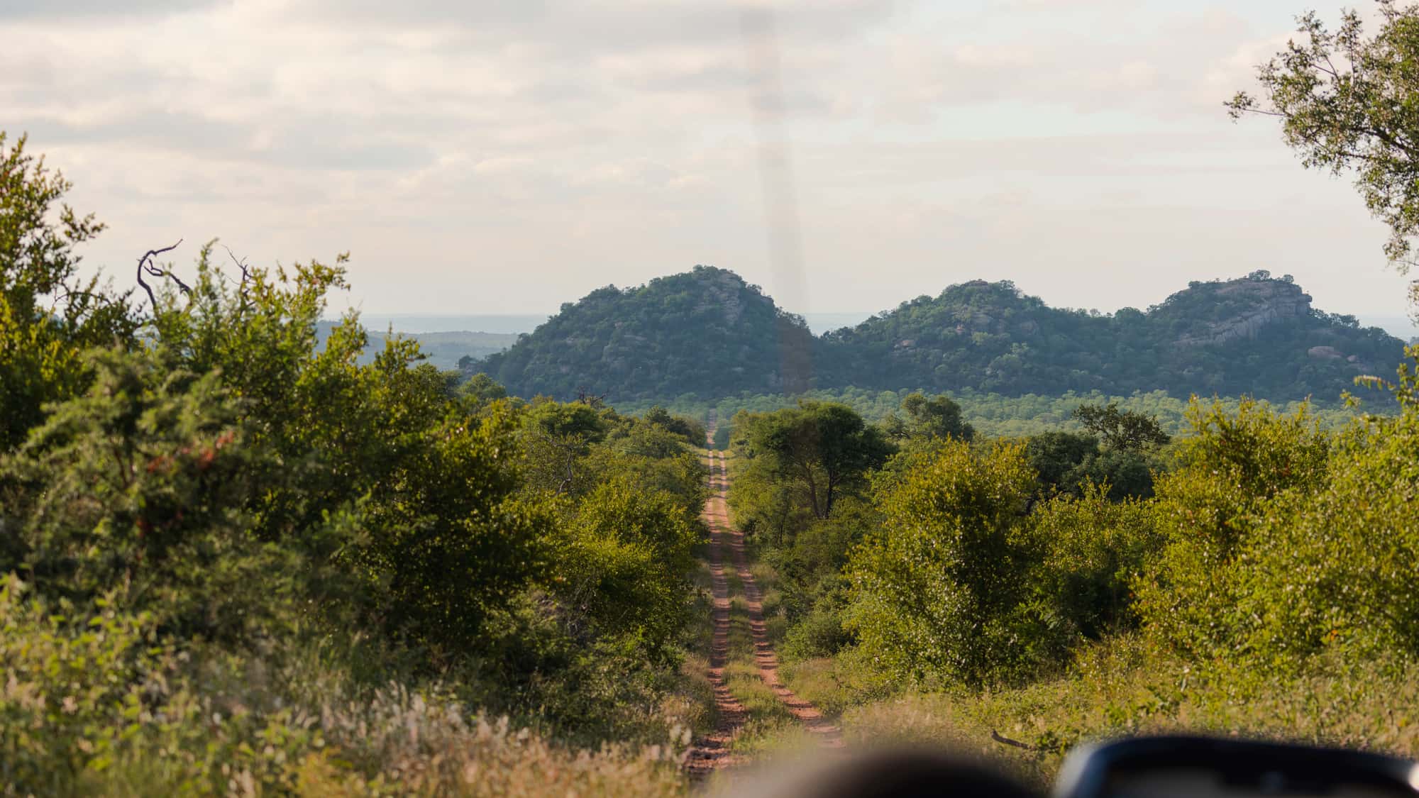 A bush track running toward rocky hills in the Lowveld