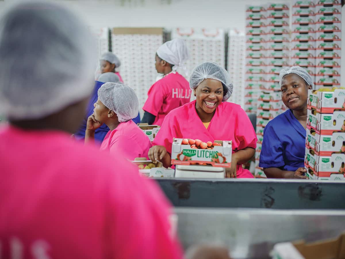Workers in bright pink and blue overalls at the litchi packing line, one smiling over a box of Halls litchis