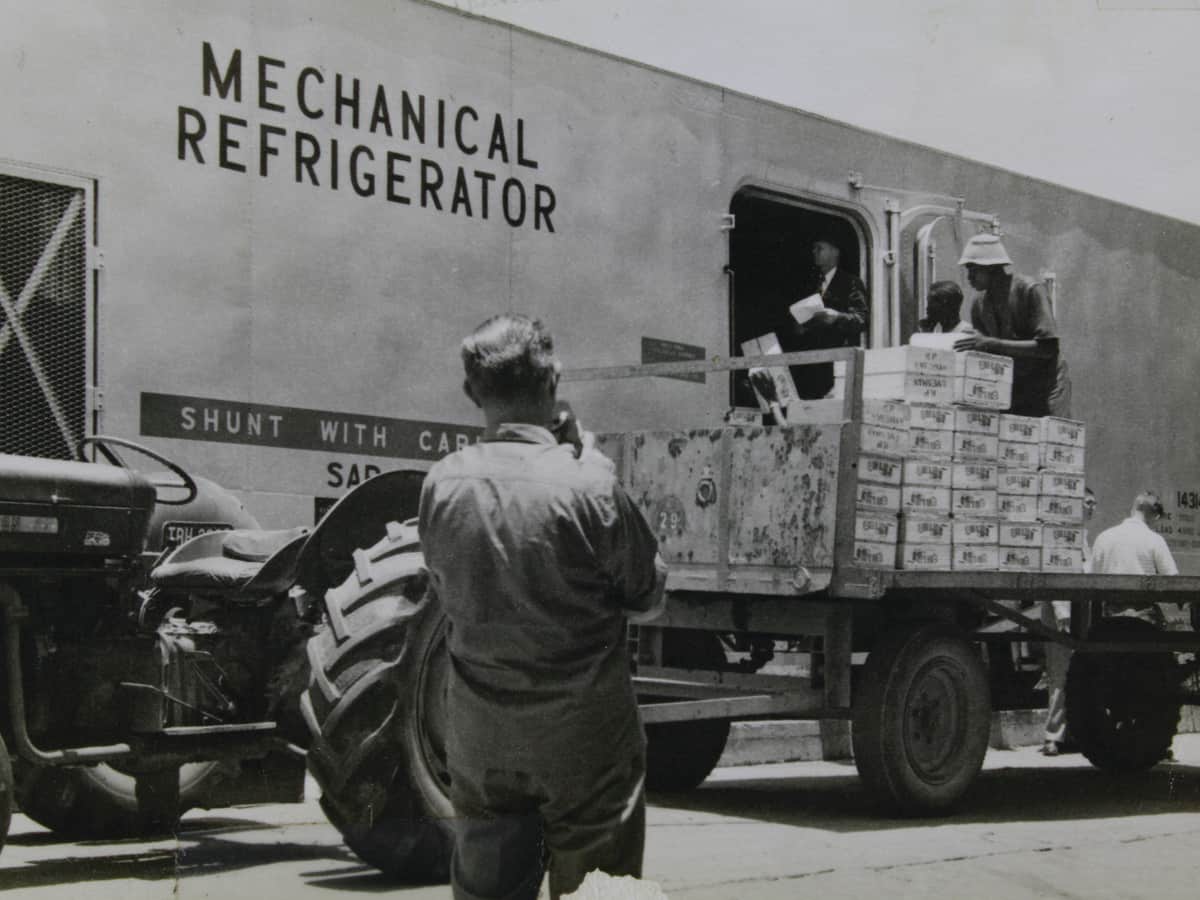 Black-and-white photograph of workers passing boxed produce from a loaded trailer into a railway wagon lettered Mechanical Refrigerator