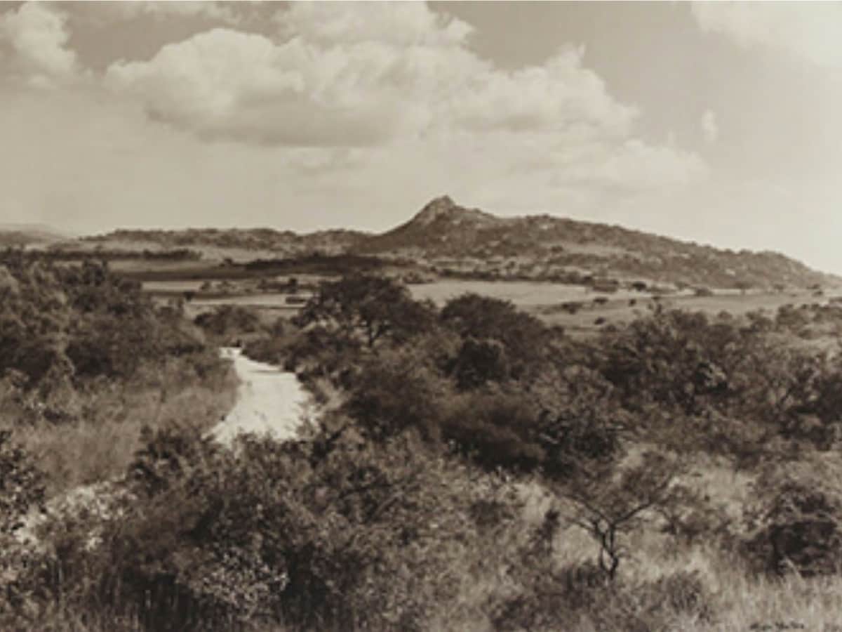 Sepia photograph of a dirt road winding through bushveld toward a rocky hill at Mataffin