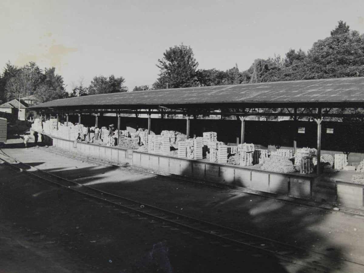 Black-and-white photograph of crates of fruit and vegetables lining the covered loading platform beside the railway tracks at Mataffin Station